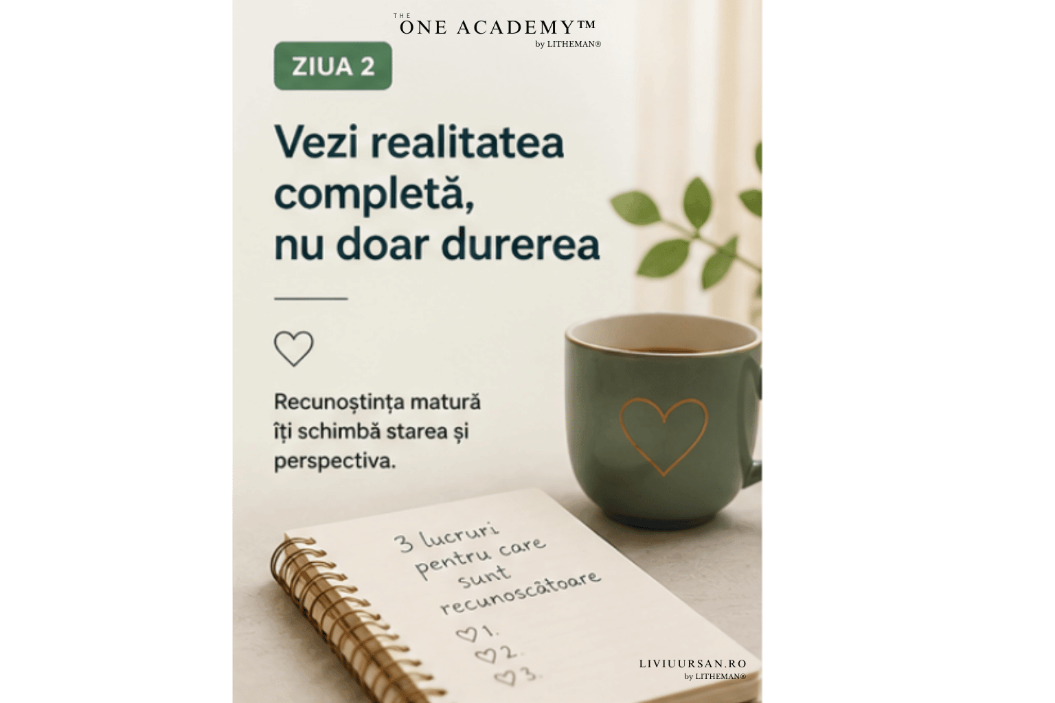 Ziua 2 - vezi realitatea completă, nu doar durerea